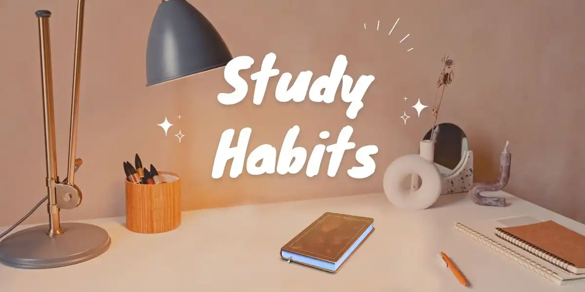 photo of What Are The Five Successful Study Habits